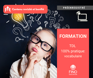 TDL 100% pratique : vocabulaire