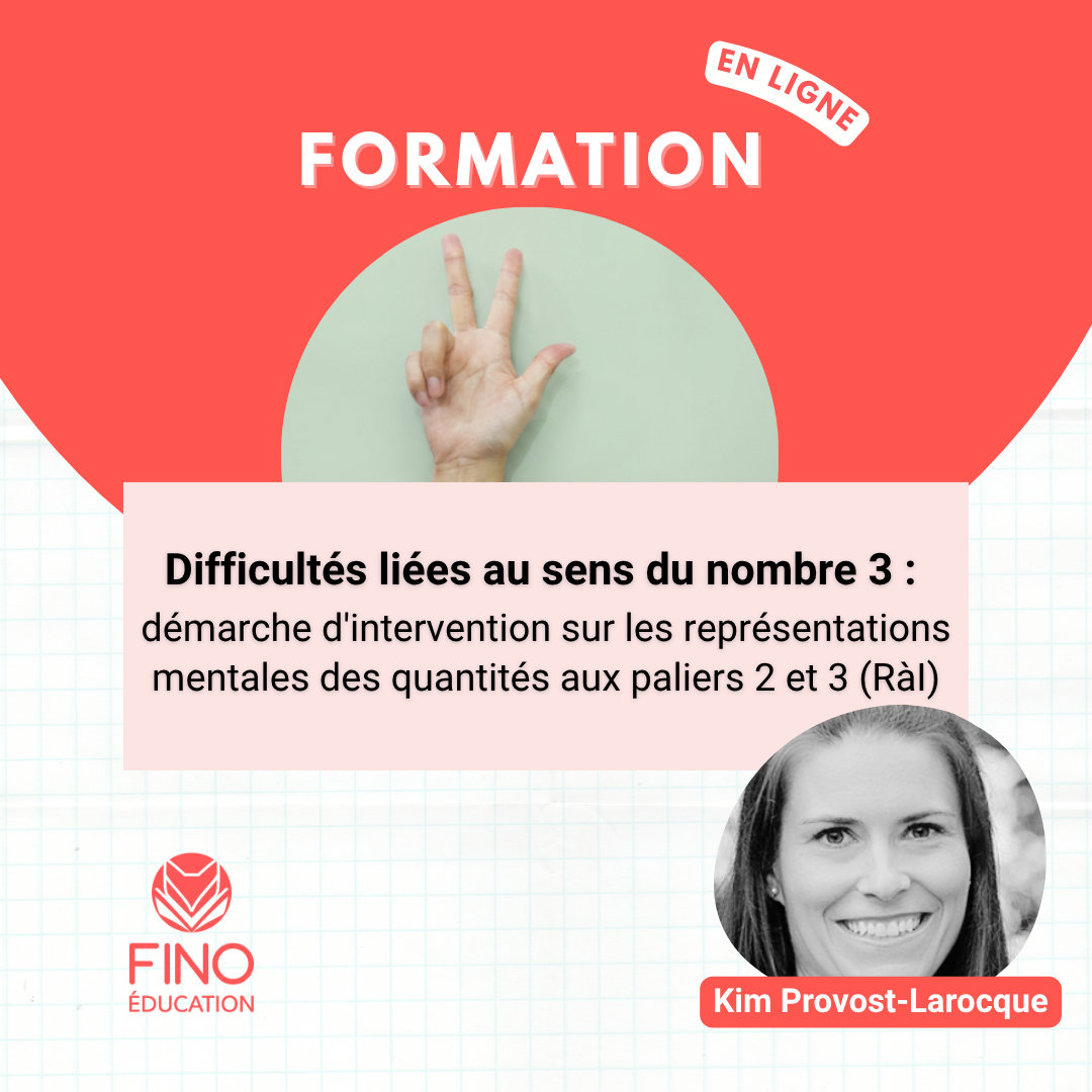 Difficultés liées au sens du nombre 3 : démarche d'intervention sur les représentations mentales des quantités aux paliers 2 et 3 (RàI)
