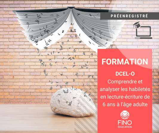 DCEL-O : Comprendre et analyser les habiletés en lecture-écriture de 6 ans à l'âge adulte