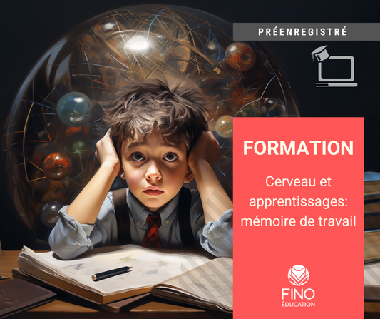 Cerveau et apprentissage: mémoire de travail