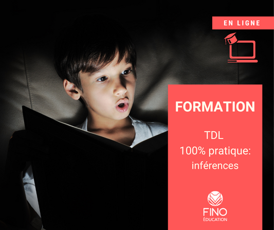 TDL 100% pratique: inférences
