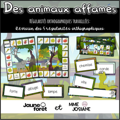 Trousse #1 - Régularités orthographiques