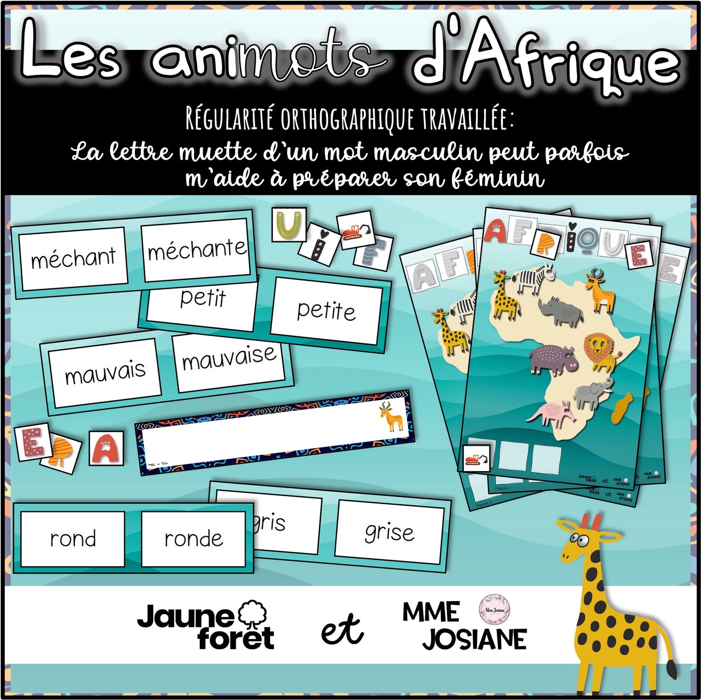 Trousse #2 - Régularités orthographiques