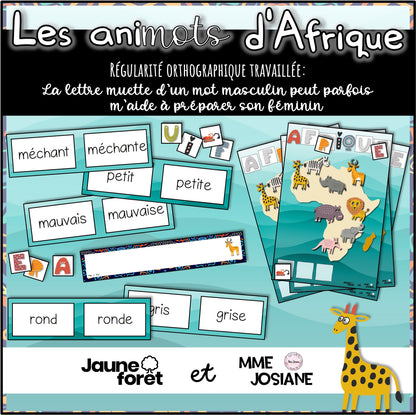 Trousse #2 - Régularités orthographiques