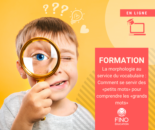 La morphologie au service du vocabulaire: comment se servir des "petits mots" pour comprendre les "grands mots"