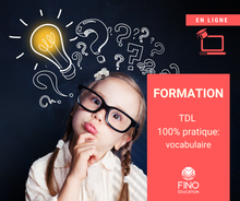 TDL 100% pratique: vocabulaire - DIRECT